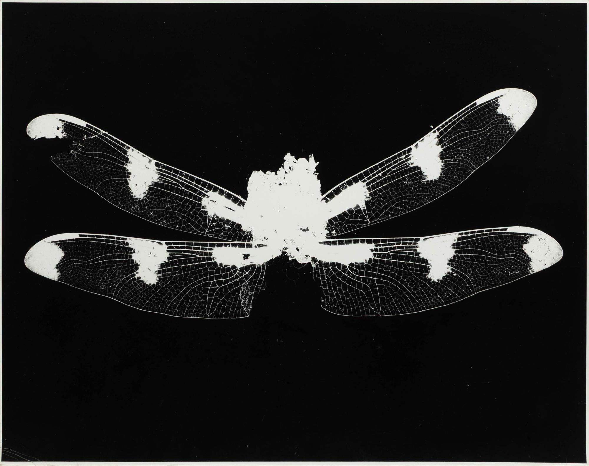Art Sinsabaugh (American, 1924-1983) — Three Works