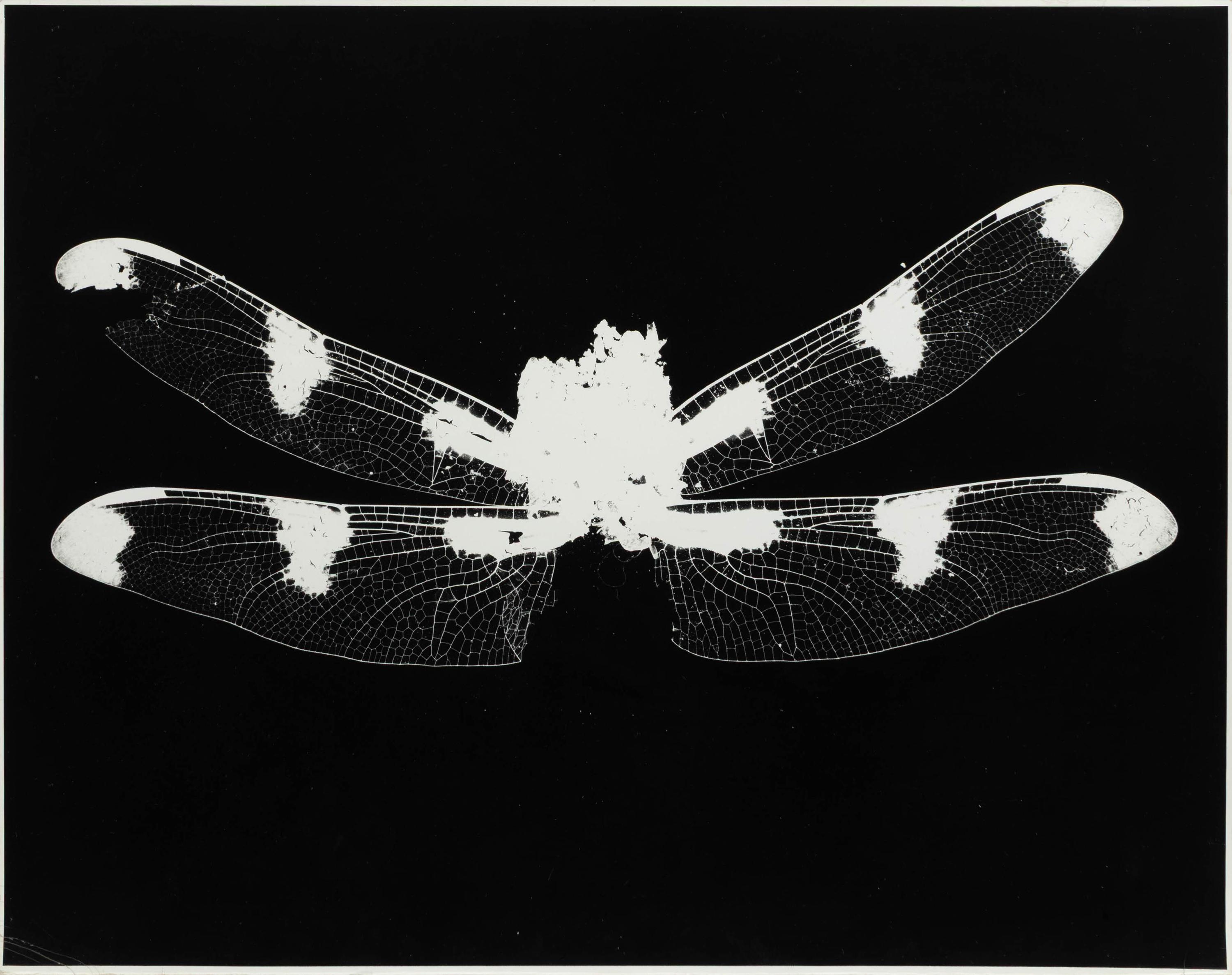 Art Sinsabaugh (American, 1924-1983) — Three Works