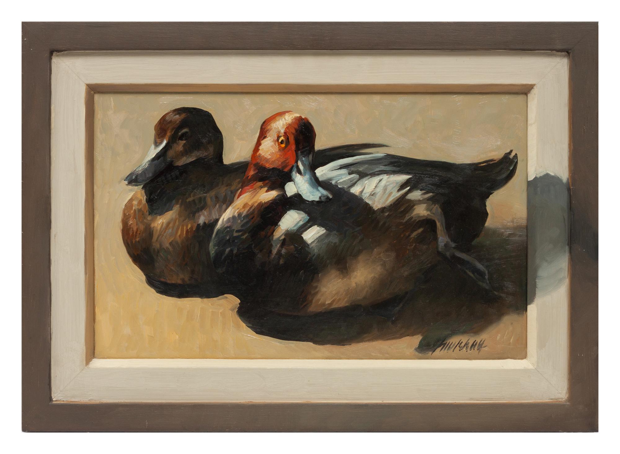 Read Head Ducks