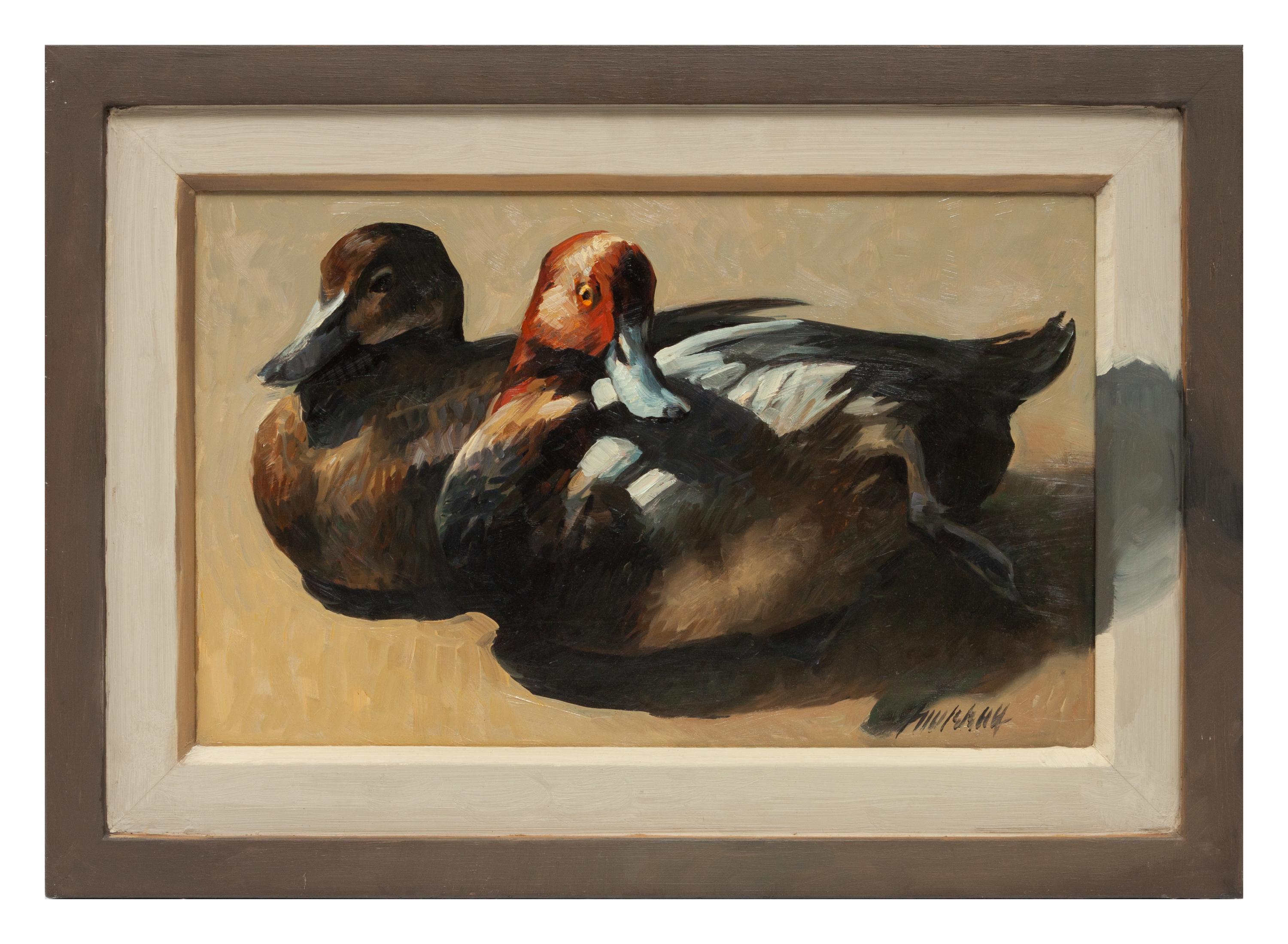 Read Head Ducks