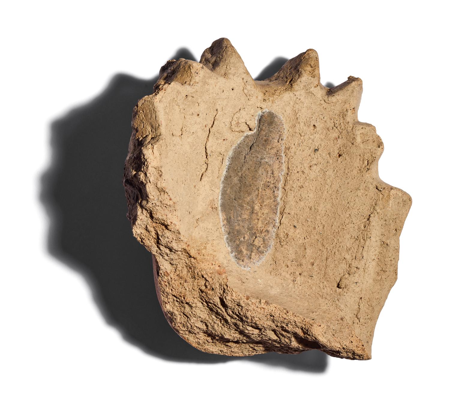 Two Etruscan Terracotta Antefix Fragments