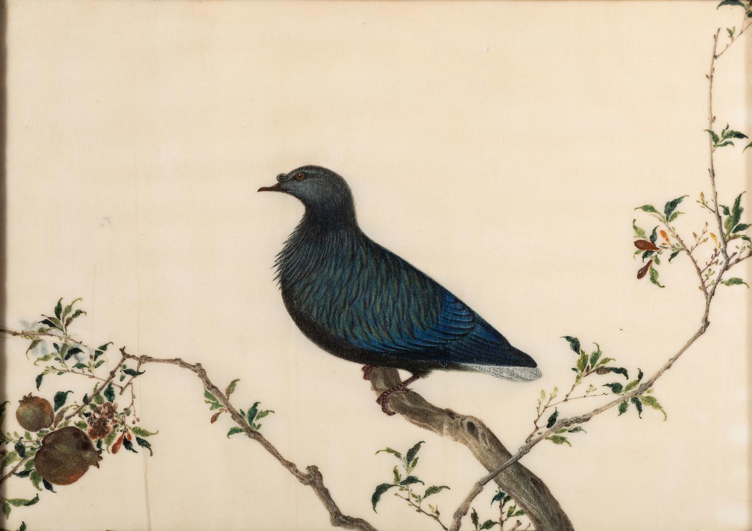 Two Chinese Export Pith Paintings of Birds