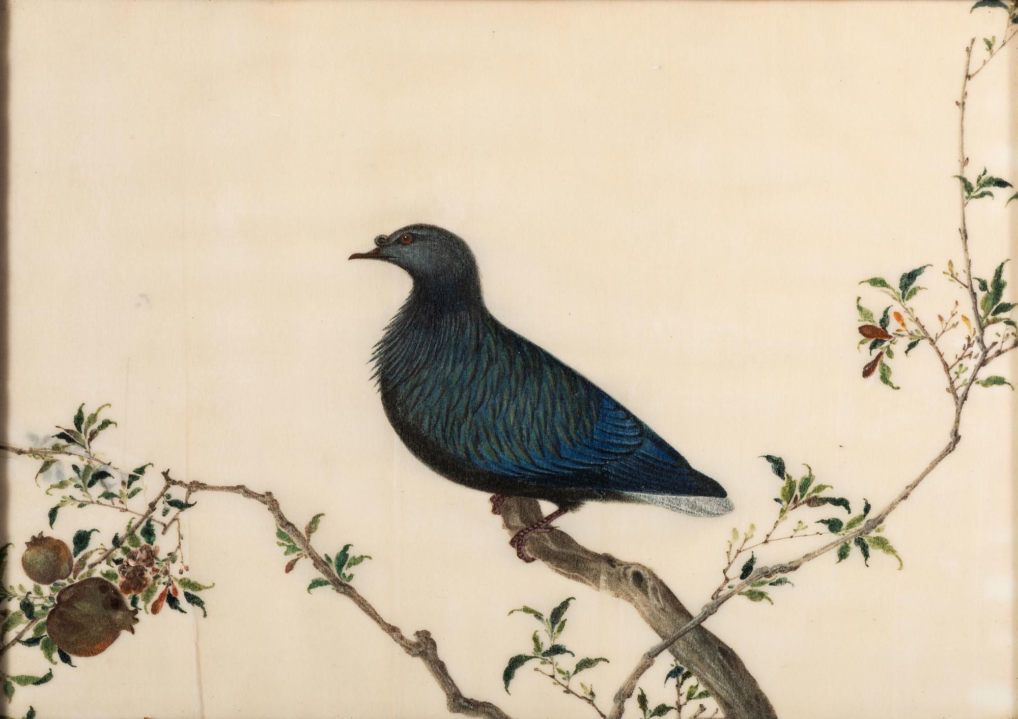 Two Chinese Export Pith Paintings of Birds