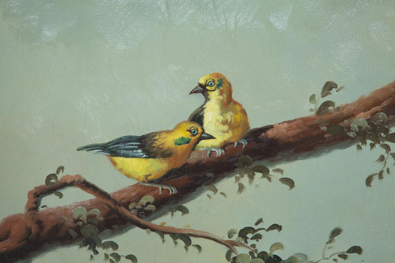 Exotic Birds in Misty Forest