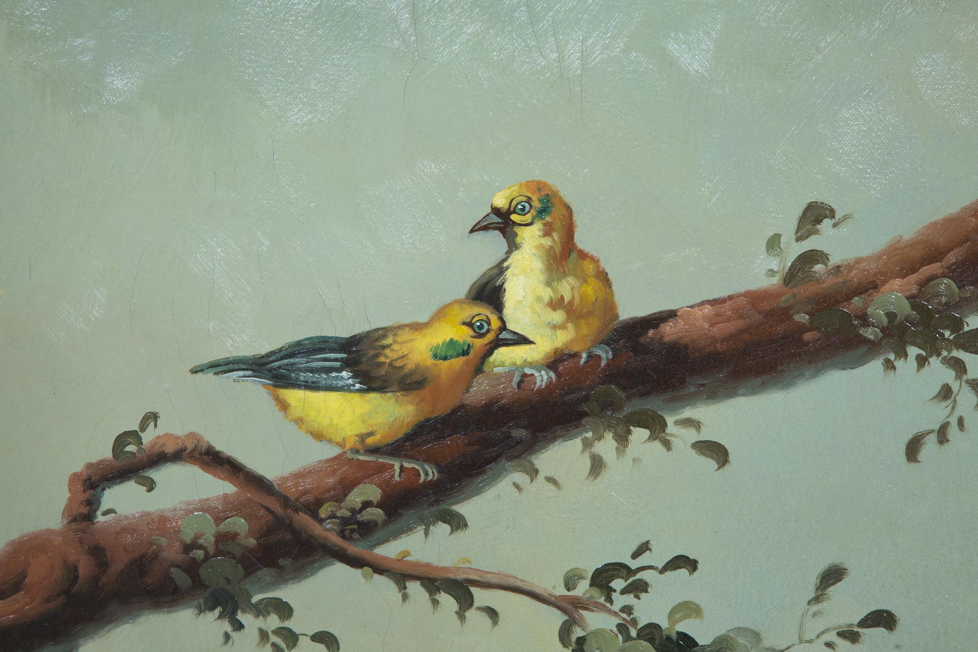 Exotic Birds in Misty Forest