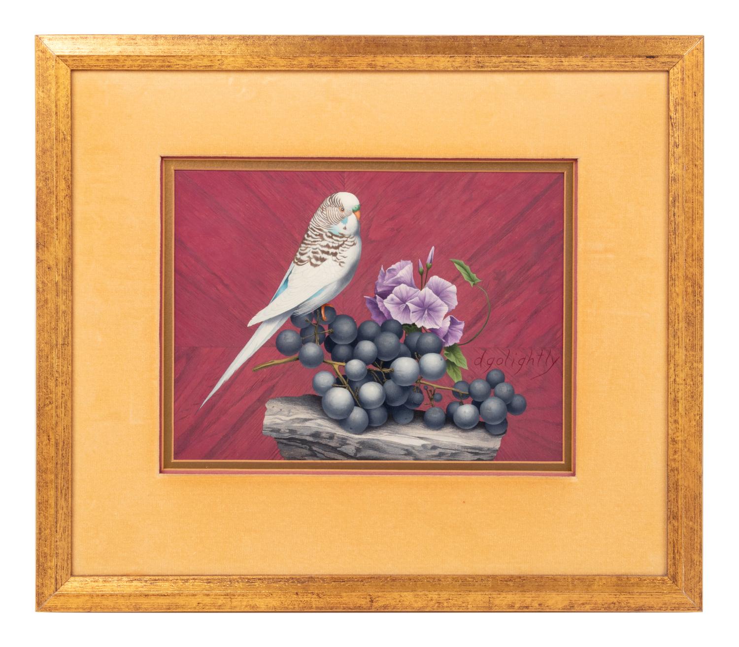 Budgie and Grapes