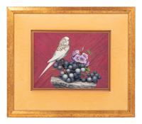 Budgie and Grapes