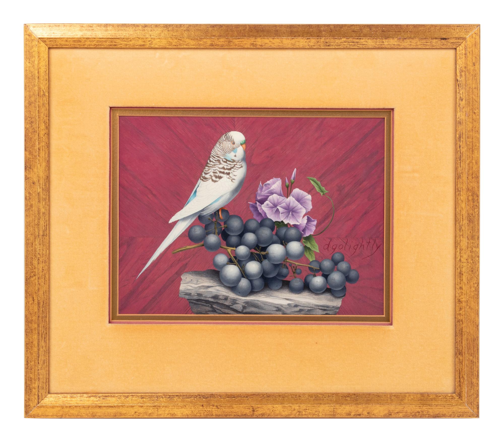 Budgie and Grapes