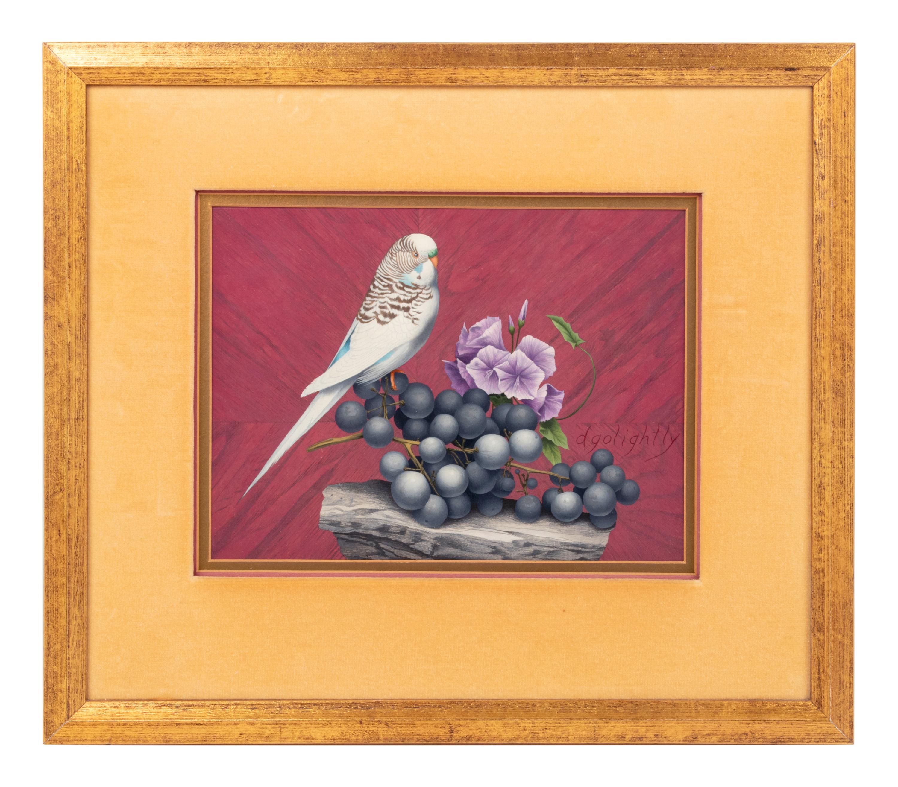 Budgie and Grapes
