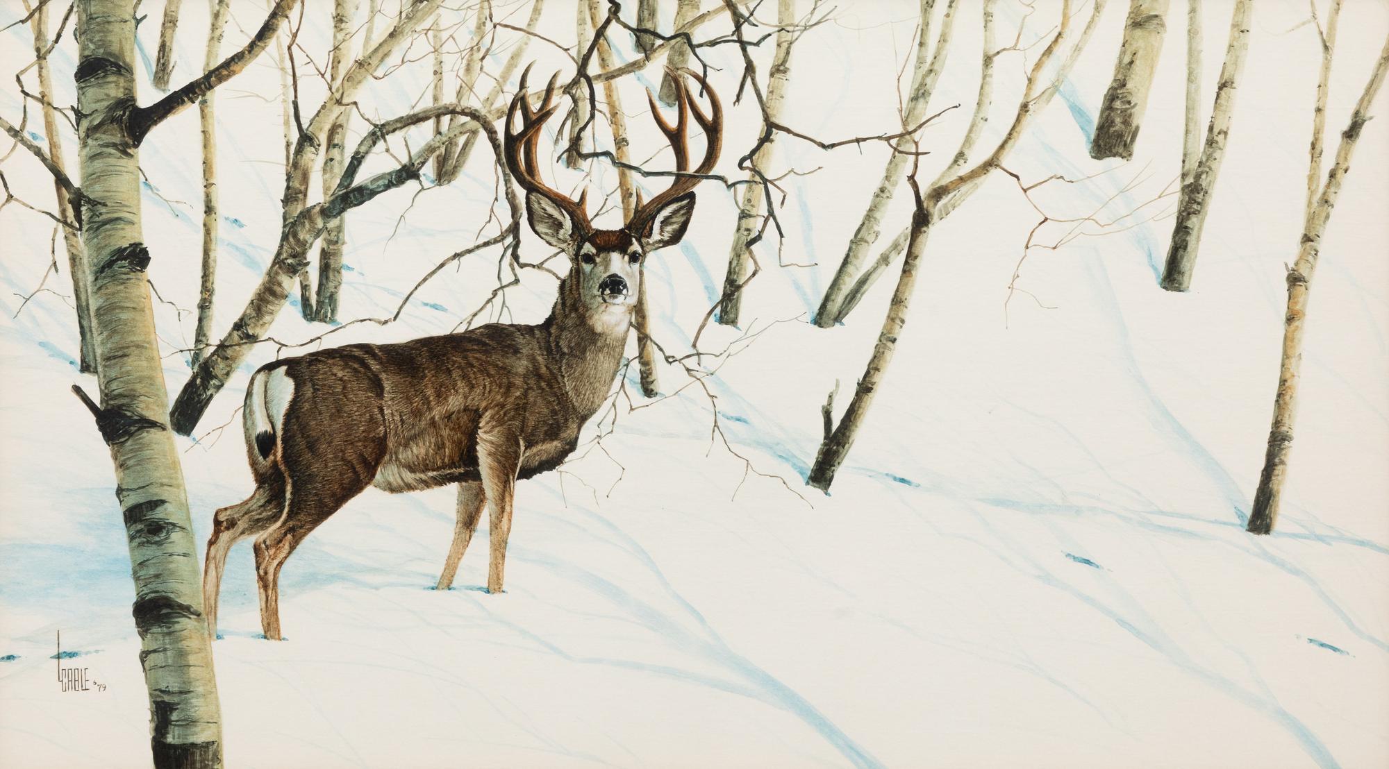 Aspen and Snow - Mule Deer