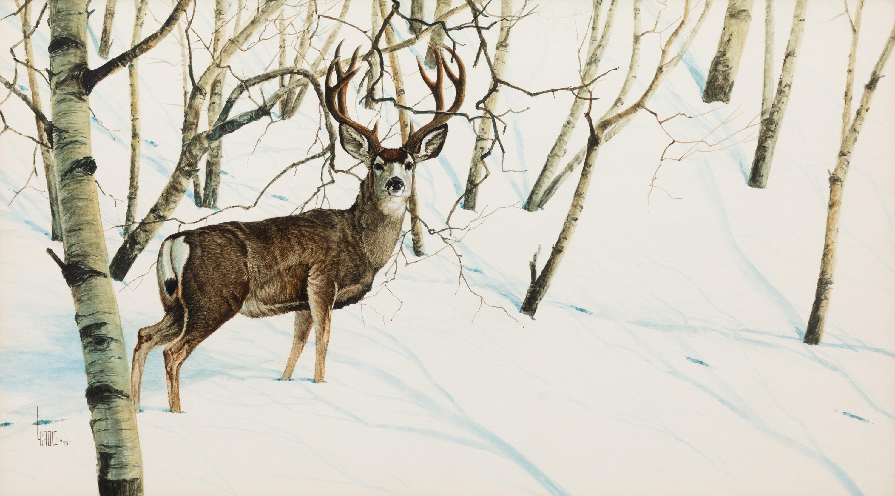 Aspen and Snow - Mule Deer
