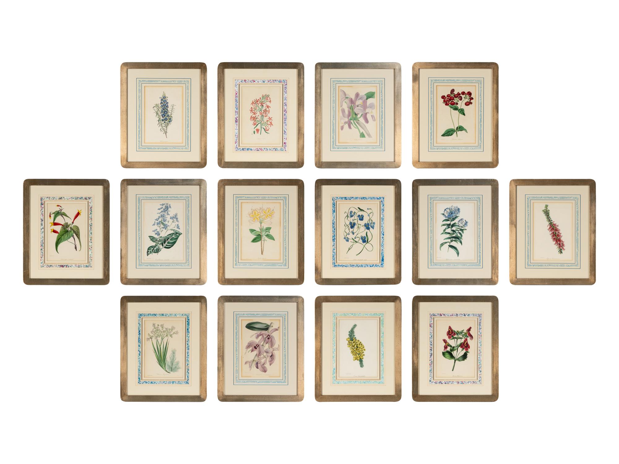 A Collection of Fourteen English Hand-Colored Botanical Engravings