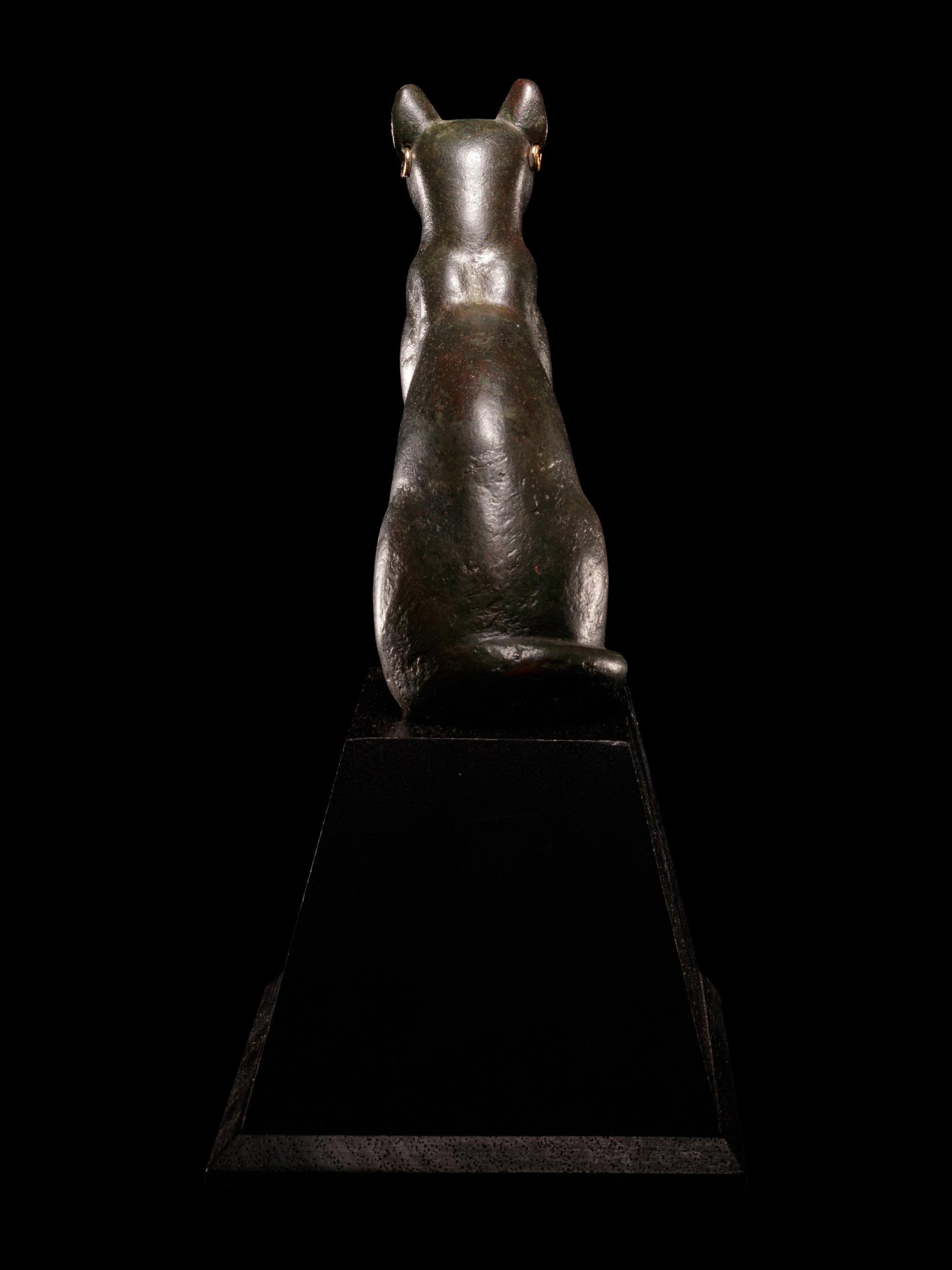 An Egyptian Bronze Cat