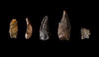 Five Neolithic Flint Blades