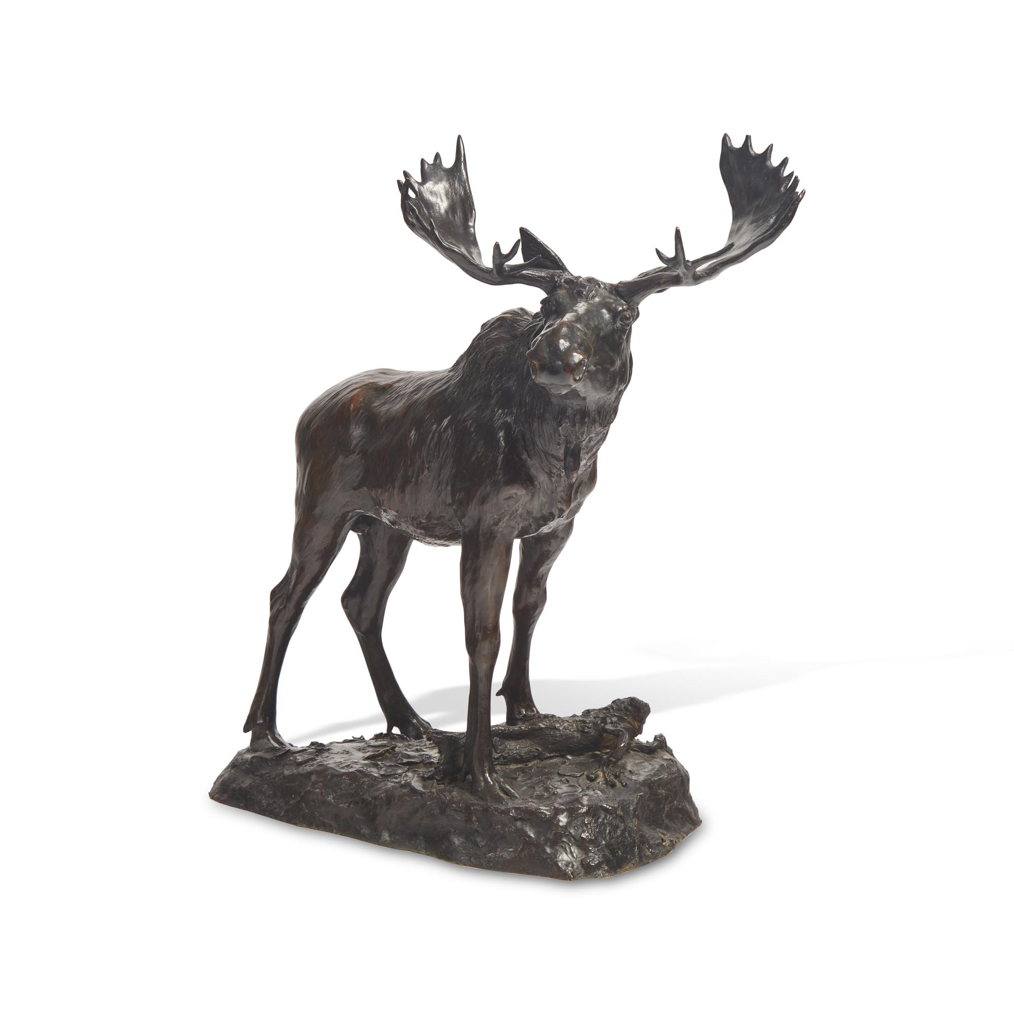 Henry M. Shrady (American, 1871-1922) — Bull Moose , 1900