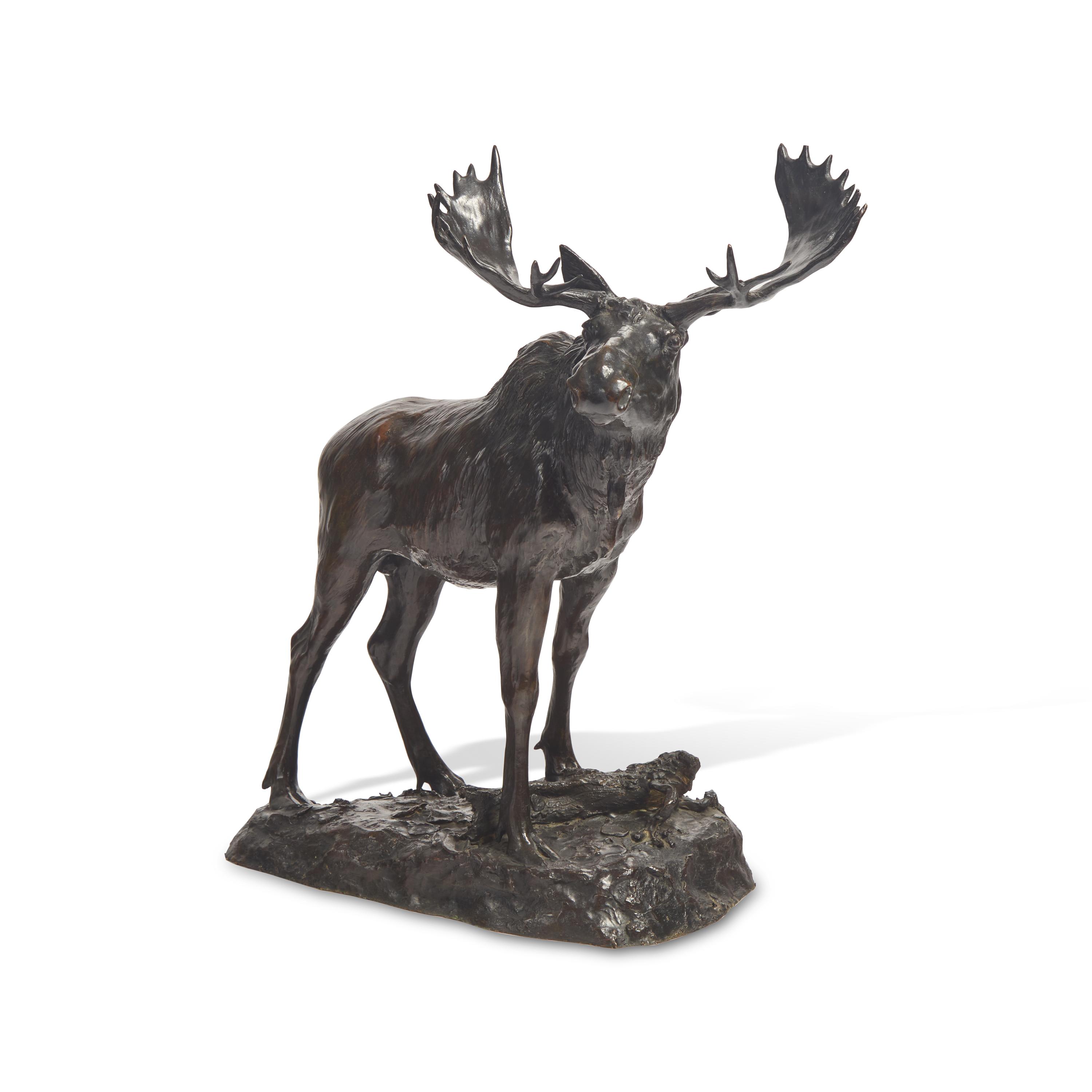 Henry M. Shrady (American, 1871-1922) — Bull Moose , 1900