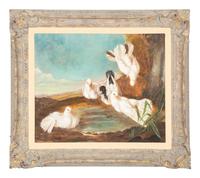 White Doves