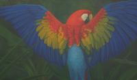 Scarlett Macaw with Plants, 1997