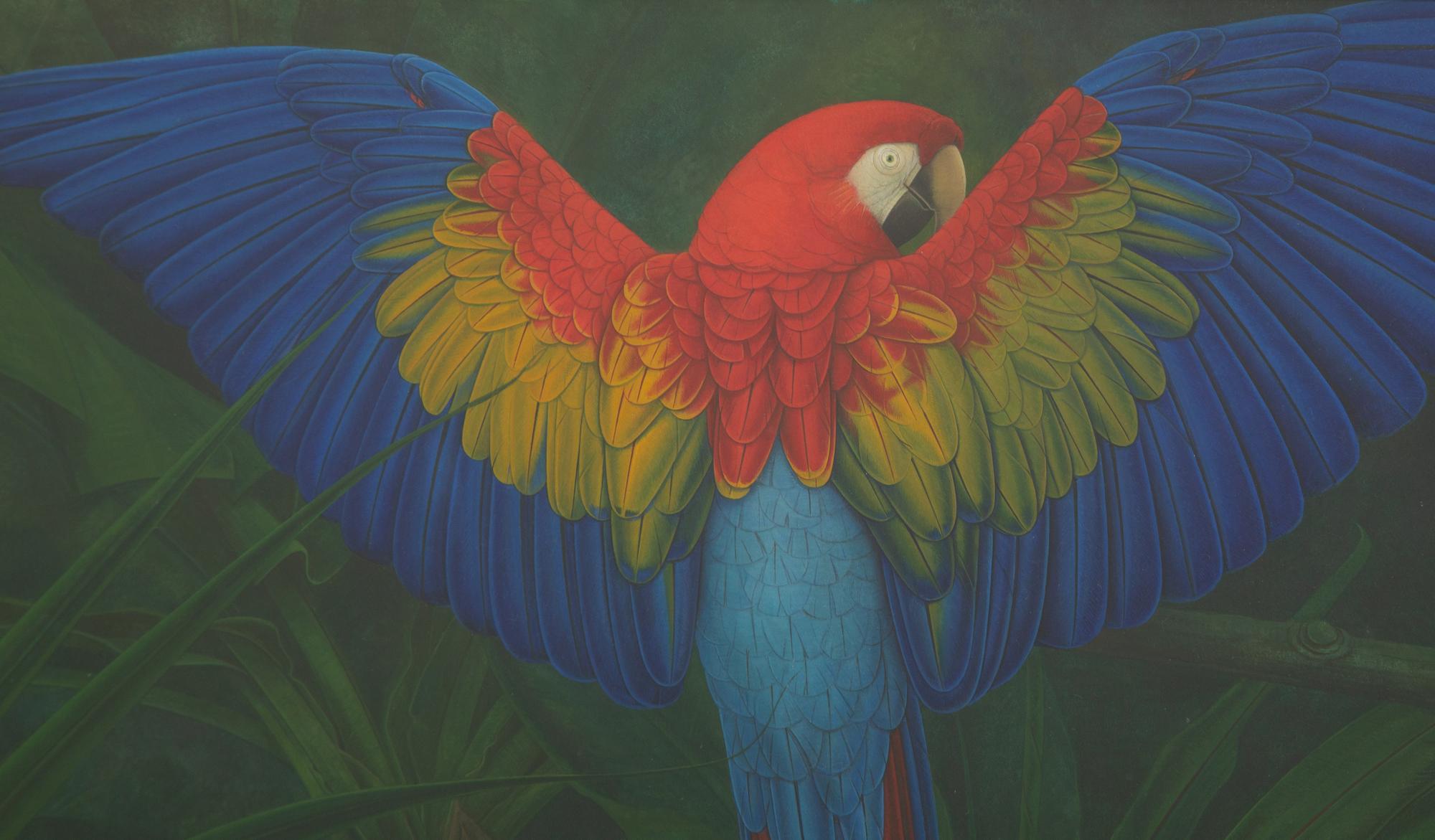 Scarlett Macaw with Plants, 1997