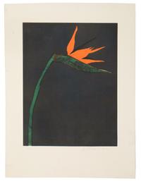 Bird of Paradise, edition 120/120
