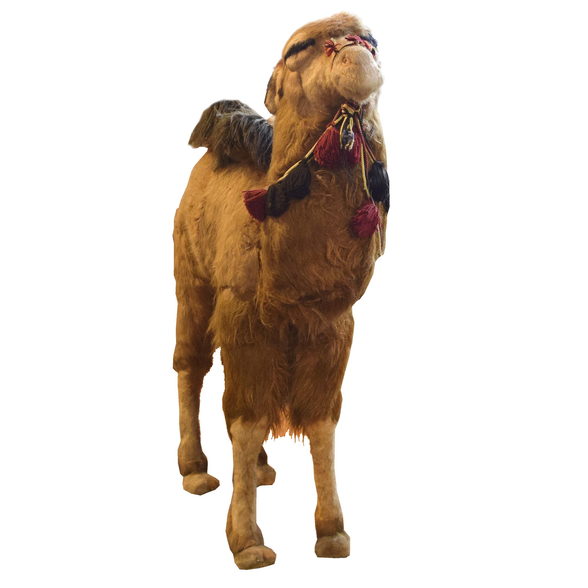 A Stuffed Toy Camel 44" W x 14" D x 55" H — France, Circa 1960