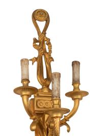 A Pair of Louis XV Style Gilt Bronze Five-Light Sconces