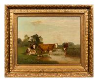 Cows in a Field
