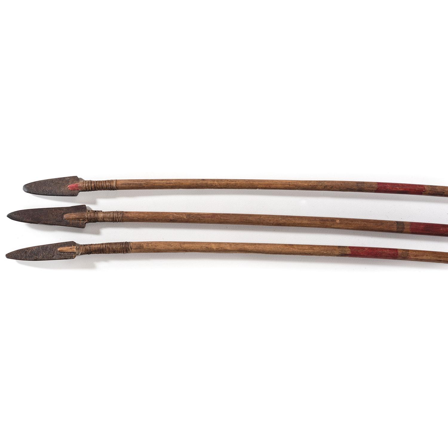 Plains Painted Arrows