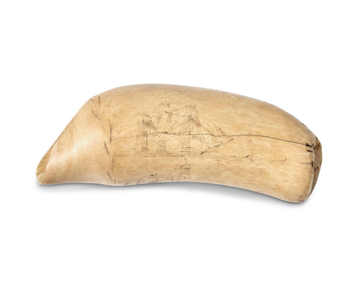 A Large Scrimshaw Whale Tooth Worked On The Whaler Atlantic