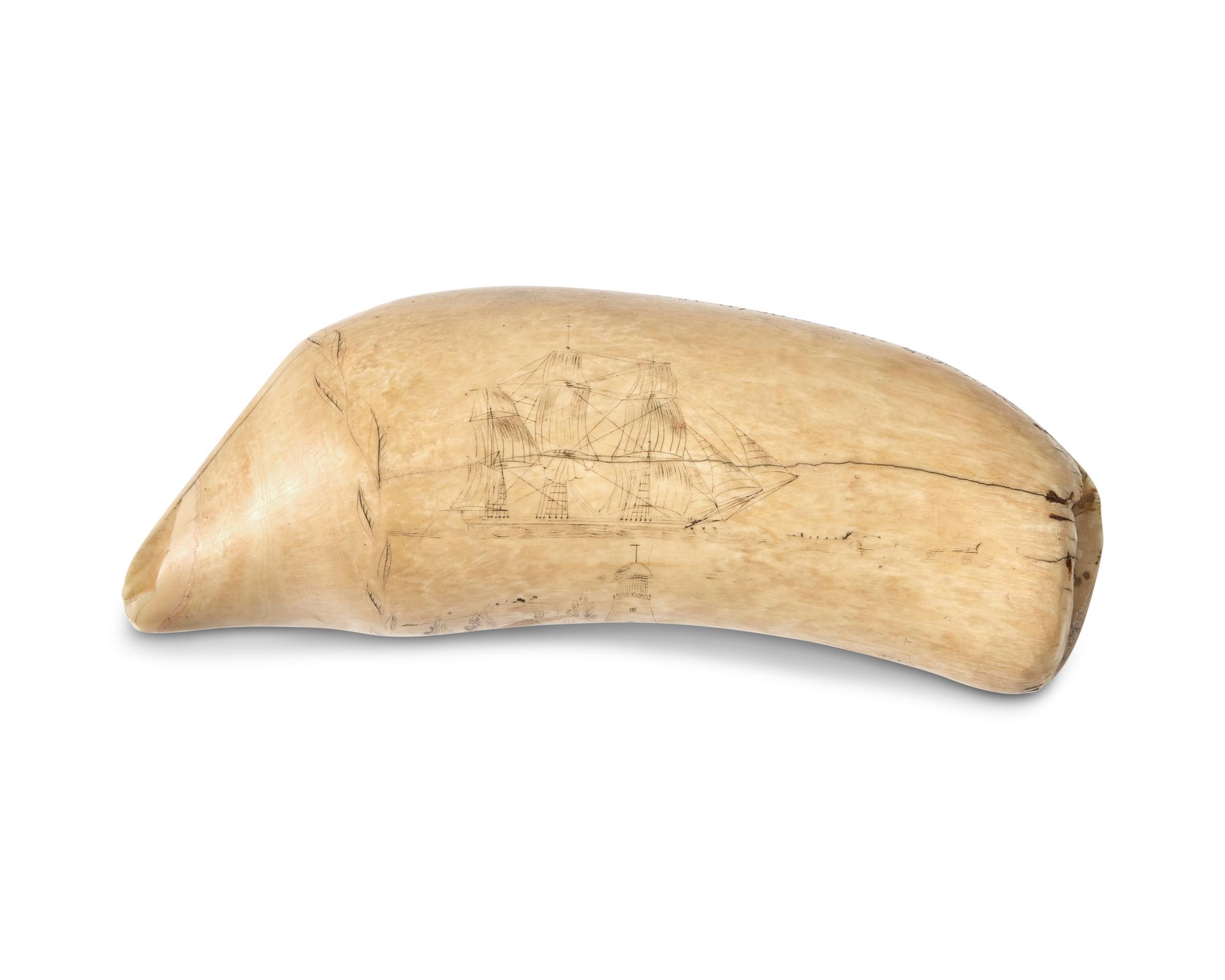 A Large Scrimshaw Whale Tooth Worked On The Whaler Atlantic