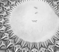 A Tiffany and Co. Portuguese Silver Fruit Bowl