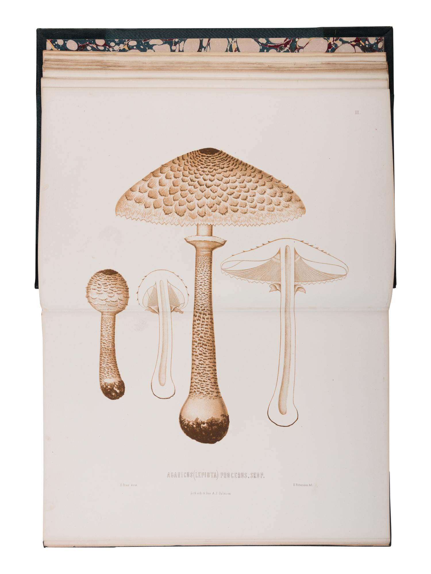 [NATURAL HISTORY]. FRIES, Elias Magnus (1794-1878). Sveriges Ätliga och Giftiga Svampar... Stockholm: H. Klemmings, 1860.