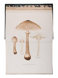 [NATURAL HISTORY]. FRIES, Elias Magnus (1794-1878). Sveriges Ätliga och Giftiga Svampar... Stockholm: H. Klemmings, 1860.