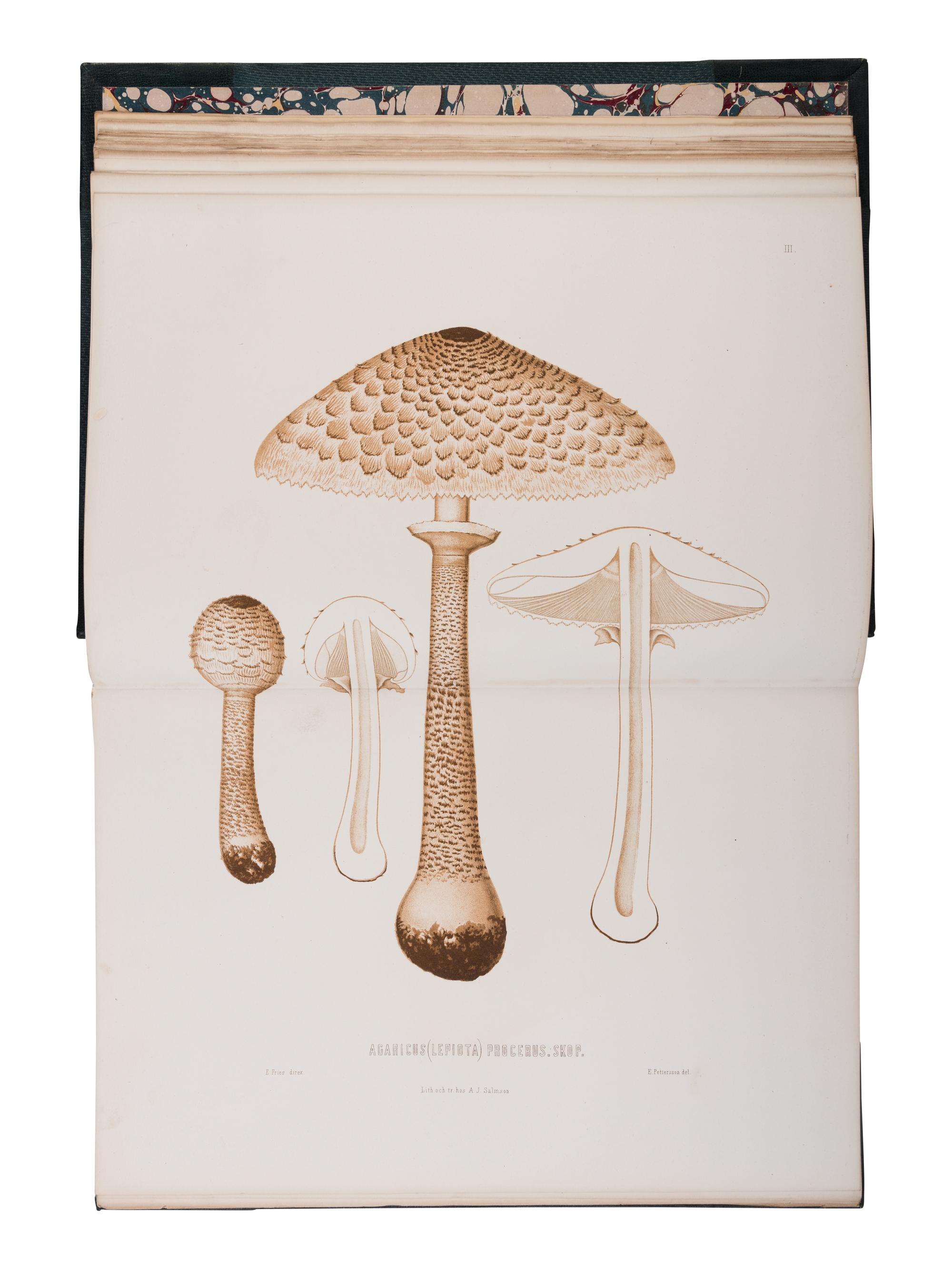 [NATURAL HISTORY]. FRIES, Elias Magnus (1794-1878). Sveriges Ätliga och Giftiga Svampar... Stockholm: H. Klemmings, 1860.
