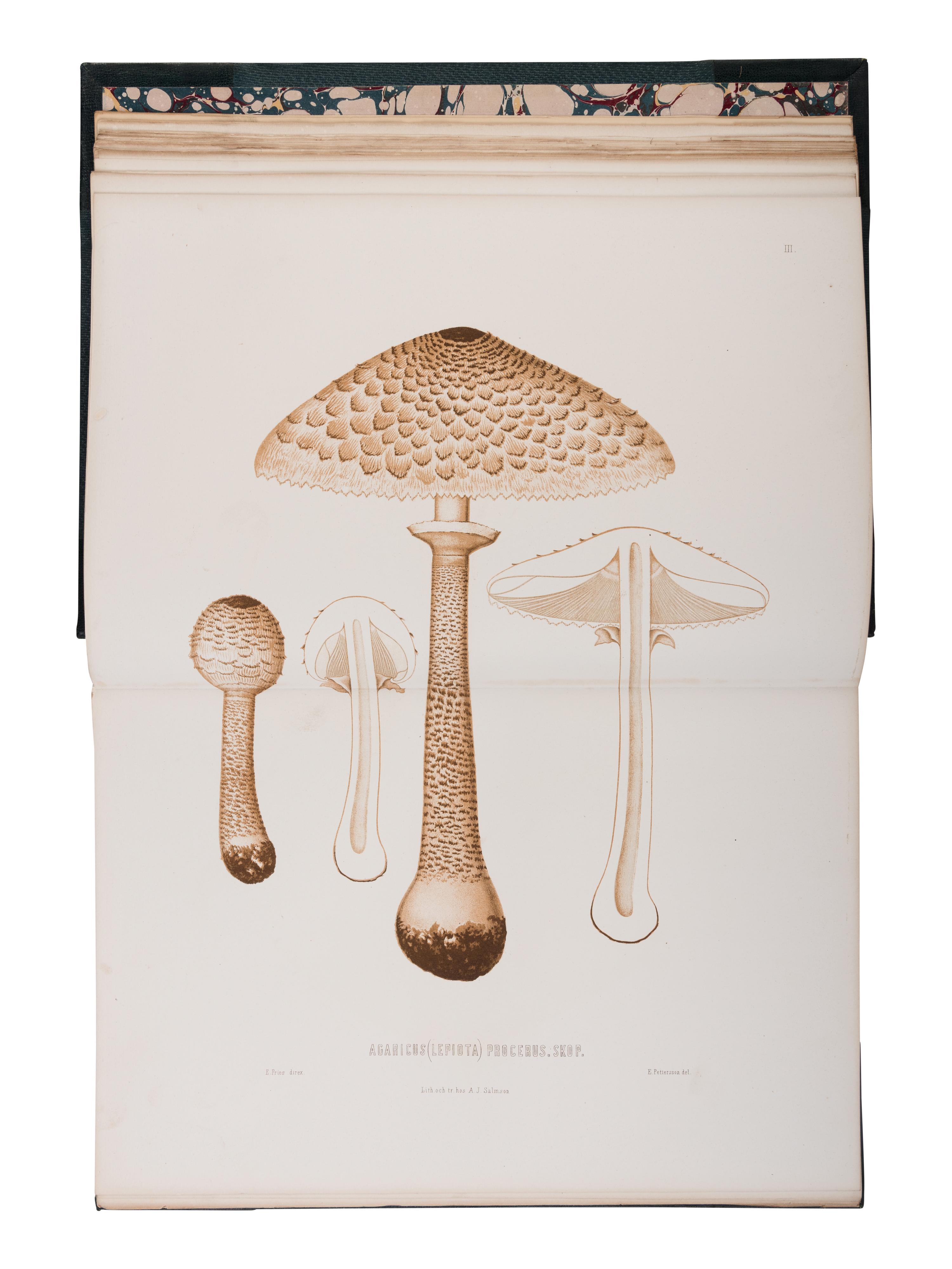 [NATURAL HISTORY]. FRIES, Elias Magnus (1794-1878). Sveriges Ätliga och Giftiga Svampar... Stockholm: H. Klemmings, 1860.