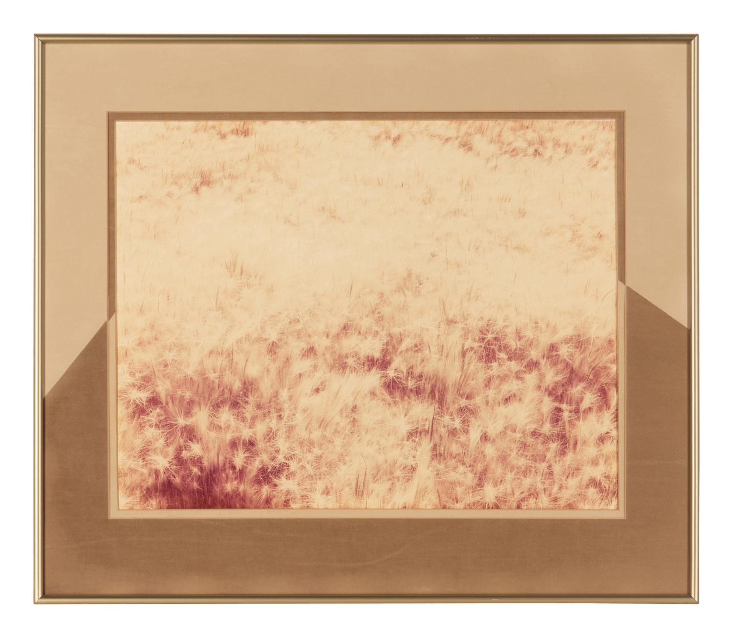 Eighteen Photographs, 1958-1979; printed 1982