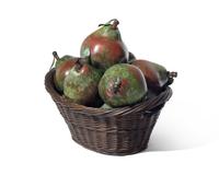 Basket of Pears