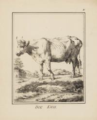 A Set of Nine Framed German Zoological Engravings