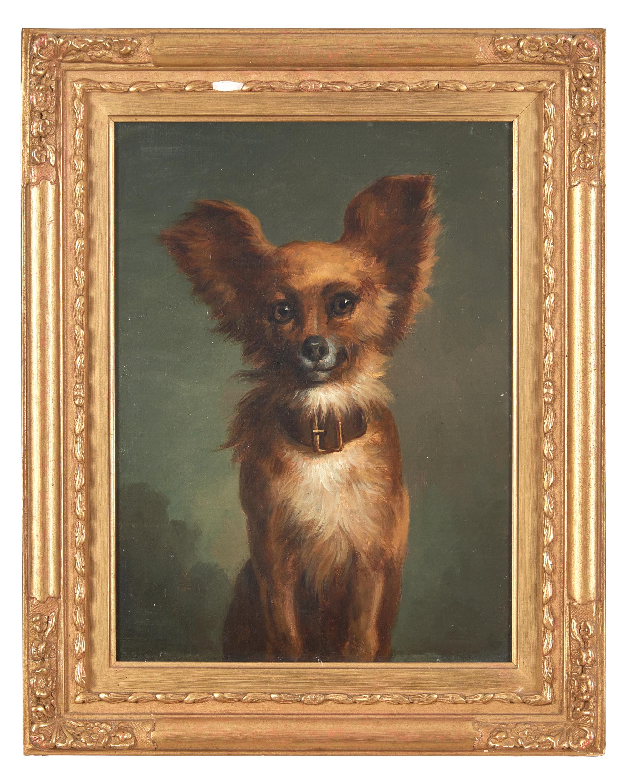 A Papillon