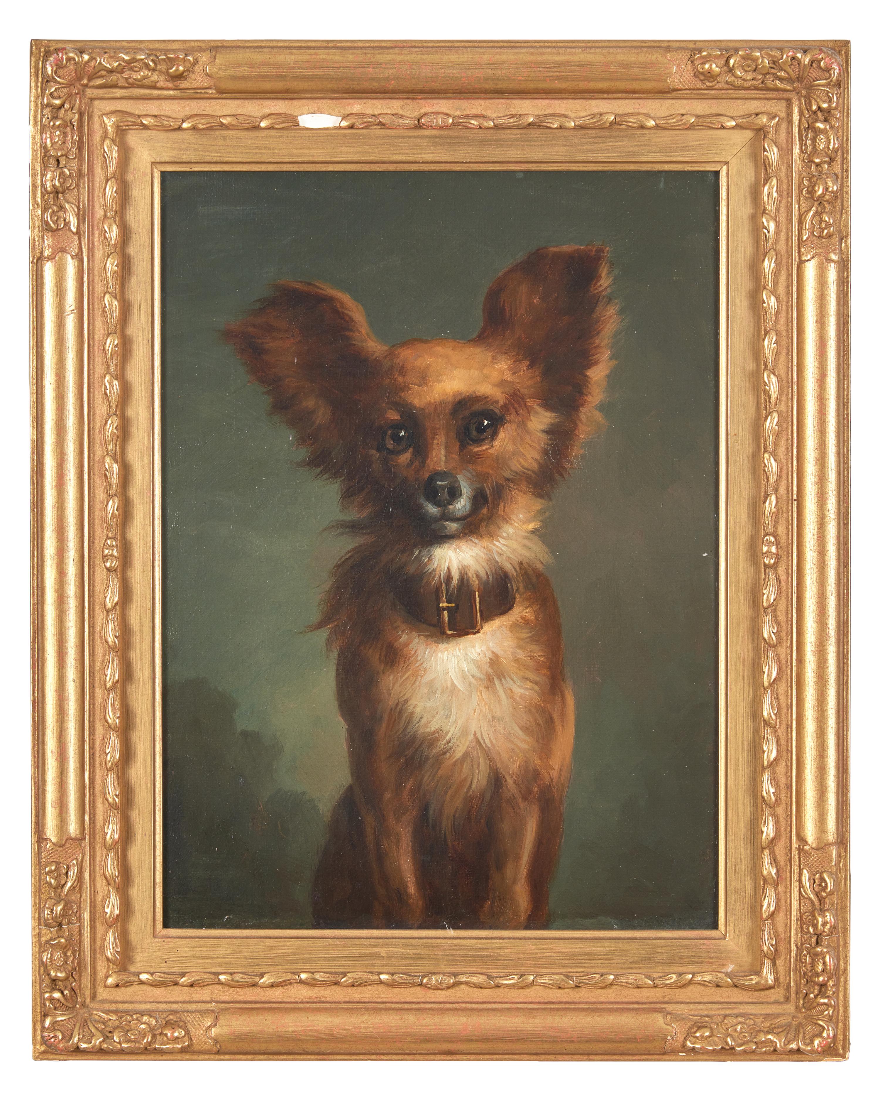 A Papillon