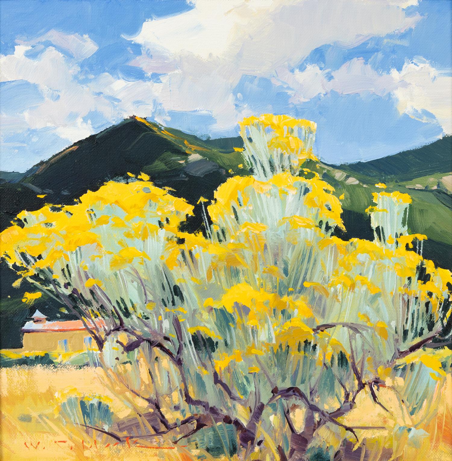 New Mexico Chamisa, 1995