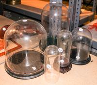 A Group of Glass Domes with Stands. Height of tallest 14 inches.