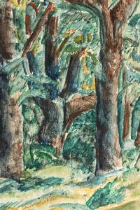 Trees in Central Park , 1911