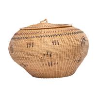 Paiute / Washoe Polychrome Lidded Basket