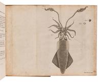 NEEDHAM, John Tuberville (1713-1781). An Account of Some New Microscopical Discoveries . London: for F. Needham, 1745.