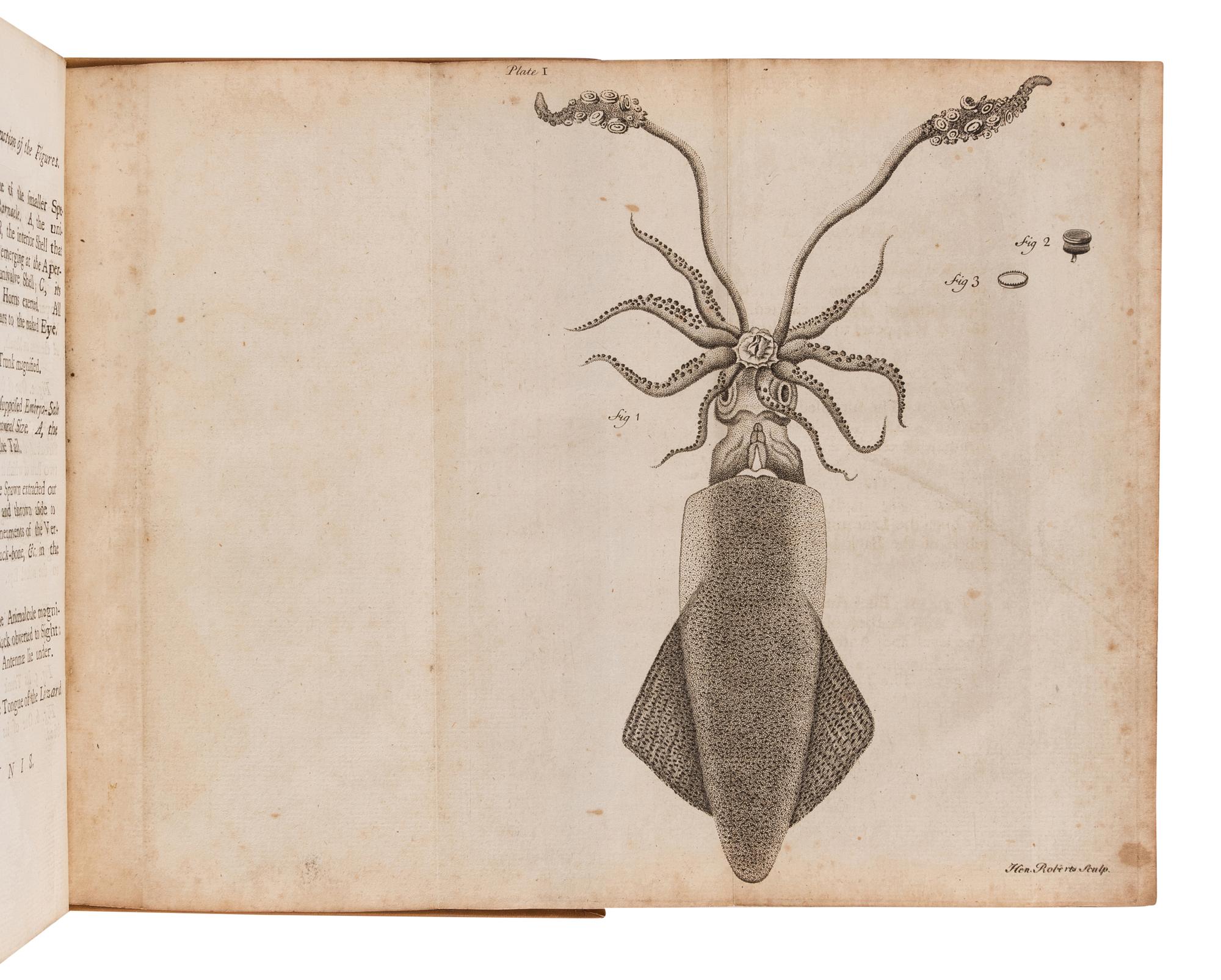 NEEDHAM, John Tuberville (1713-1781). An Account of Some New Microscopical Discoveries . London: for F. Needham, 1745.