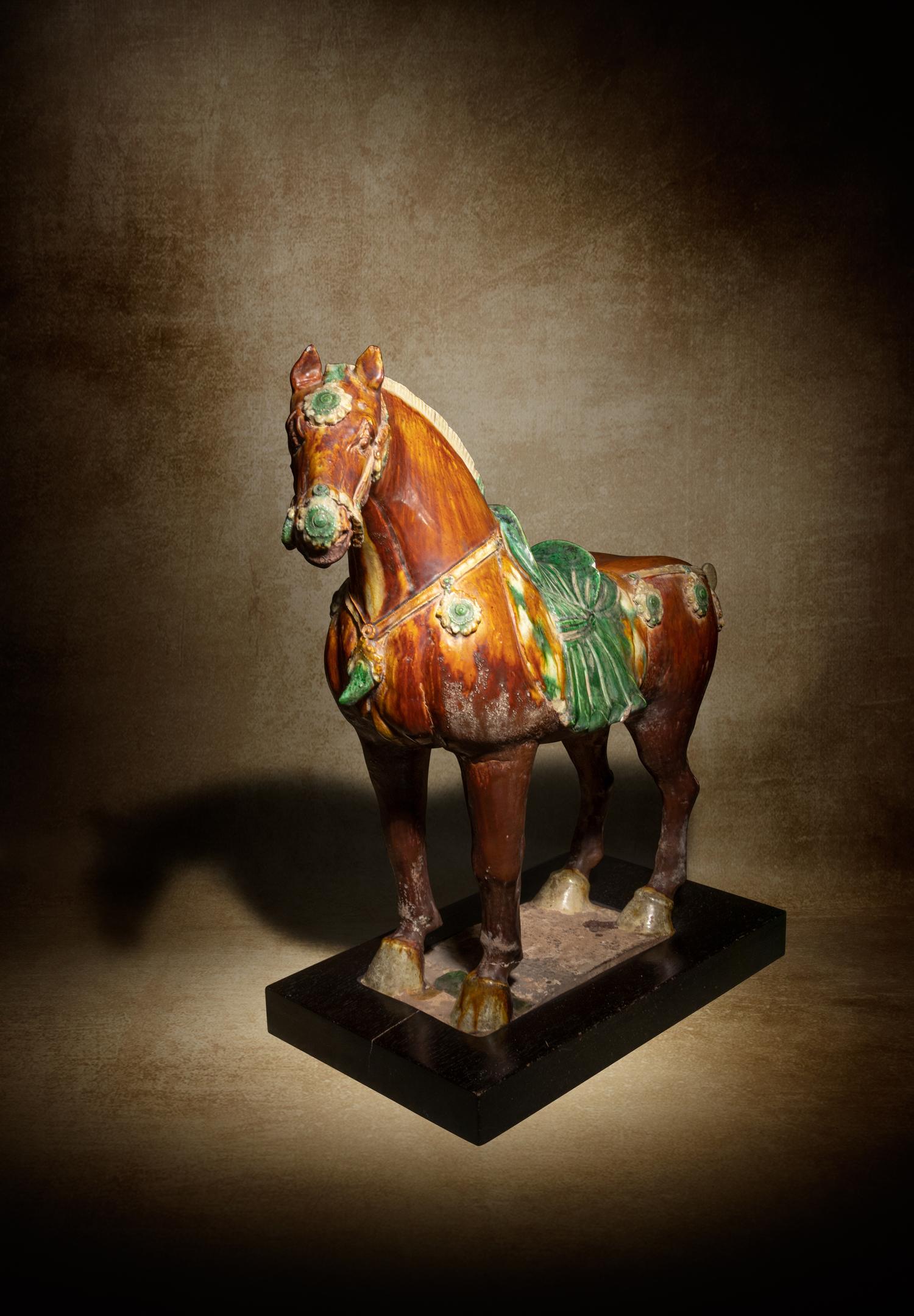 A Sancai Glazed Pottery Figure of a Standing Horse