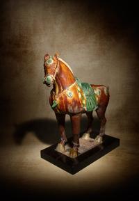 A Sancai Glazed Pottery Figure of a Standing Horse