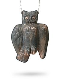 Charm (Owl), 1999