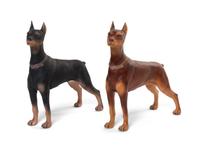Two Boehm Porcelain Models of Doberman Pinschers, Width 6 1/2 inches.
